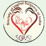 Hysteroscopy Icon